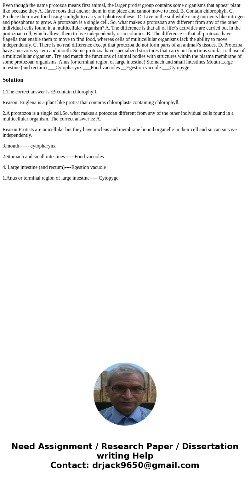 Even though the name protozoa means first animal, the larger protist group contains some organisms that appear plant like because they A. Have roots that ancho  Even though the name protozoa means first animal, the larger protist group contains some organisms that appear plant like because they A. Have roots that ancho