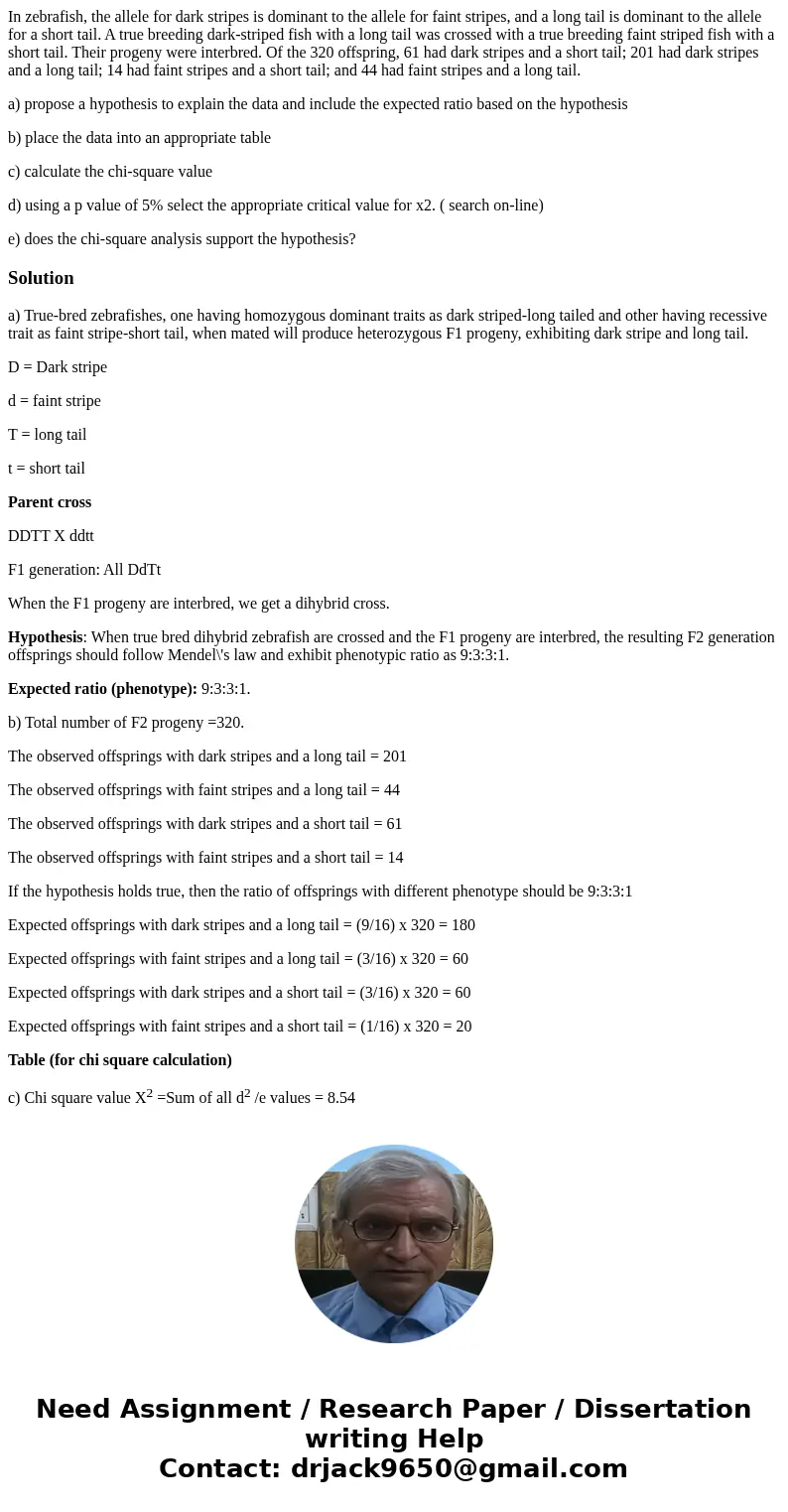 In zebrafish, the allele for dark stripes is dominant to the allele for faint stripes, and a long tail is dominant to the allele for a short tail. A true breedi