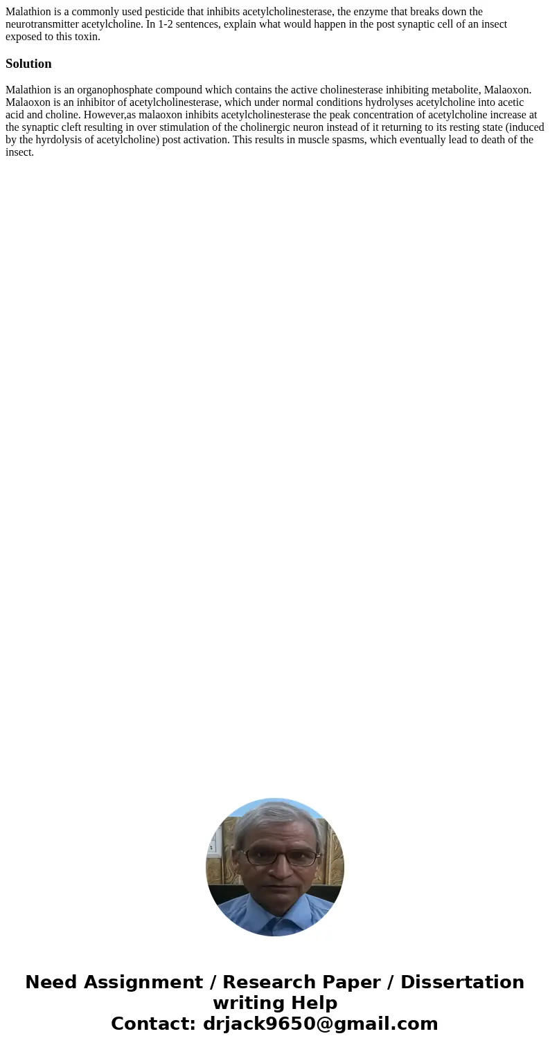 Malathion is a commonly used pesticide that inhibits acetylcholinesterase, the enzyme that breaks down the neurotransmitter acetylcholine. In 1-2 sentences, ex  Malathion is a commonly used pesticide that inhibits acetylcholinesterase, the enzyme that breaks down the neurotransmitter acetylcholine. In 1-2 sentences, ex