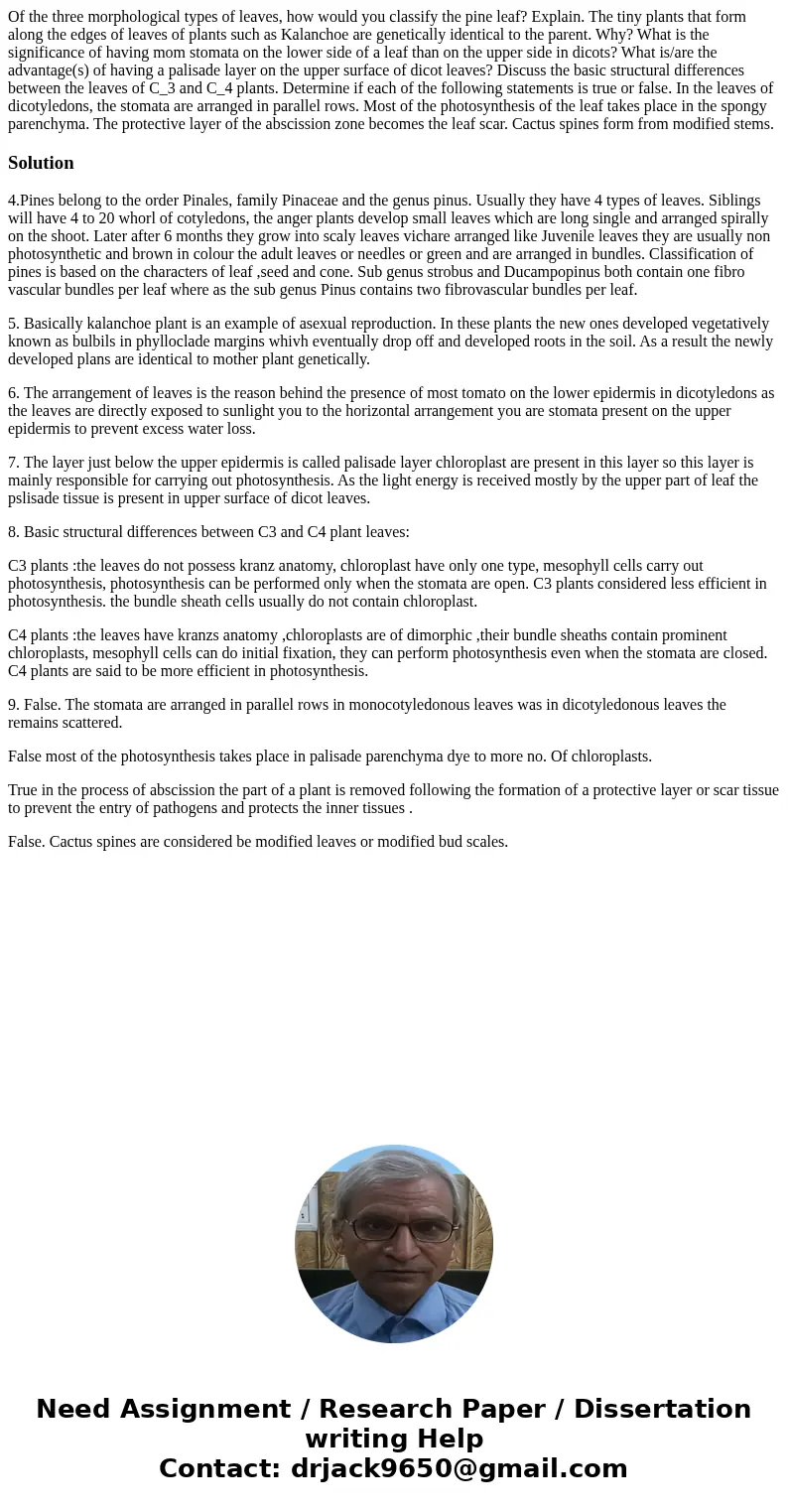 Of the three morphological types of leaves, how would you classify the pine leaf? Explain. The tiny plants that form along the edges of leaves of plants such a  Of the three morphological types of leaves, how would you classify the pine leaf? Explain. The tiny plants that form along the edges of leaves of plants such a