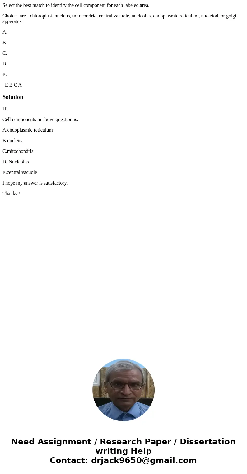 Select the best match to identify the cell component for each labeled area. Choices are - chloroplast, nucleus, mitocondria, central vacuole, nucleolus, endopla Select the best match to identify the cell component for each labeled area. Choices are - chloroplast, nucleus, mitocondria, central vacuole, nucleolus, endopla