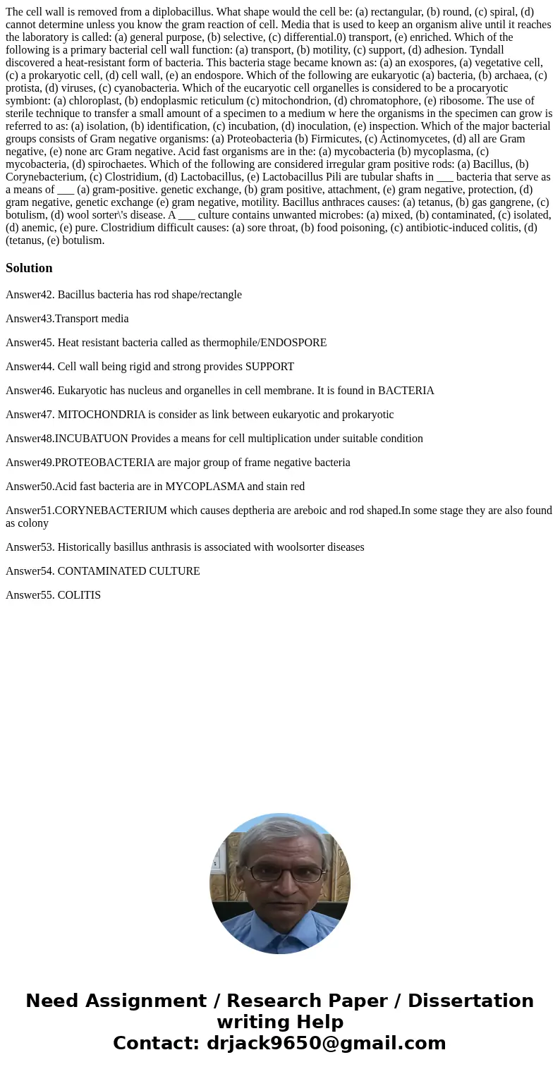  The cell wall is removed from a diplobacillus. What shape would the cell be: (a) rectangular, (b) round, (c) spiral, (d) cannot determine unless you know the g