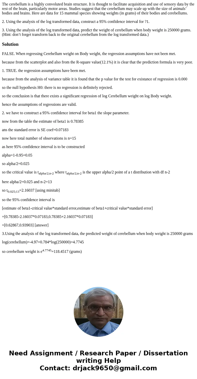 The cerebellum is a highly convoluted brain structure. It is thought to facilitate acquisition and use of sensory data by the rest of the brain, particularly mo The cerebellum is a highly convoluted brain structure. It is thought to facilitate acquisition and use of sensory data by the rest of the brain, particularly mo