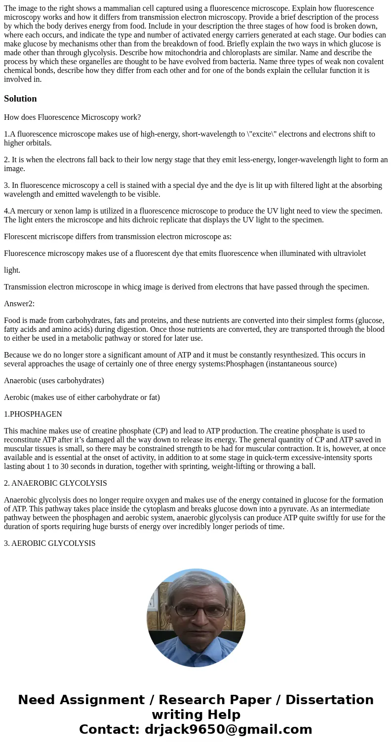 The image to the right shows a mammalian cell captured using a fluorescence microscope. Explain how fluorescence microscopy works and how it differs from trans  The image to the right shows a mammalian cell captured using a fluorescence microscope. Explain how fluorescence microscopy works and how it differs from trans