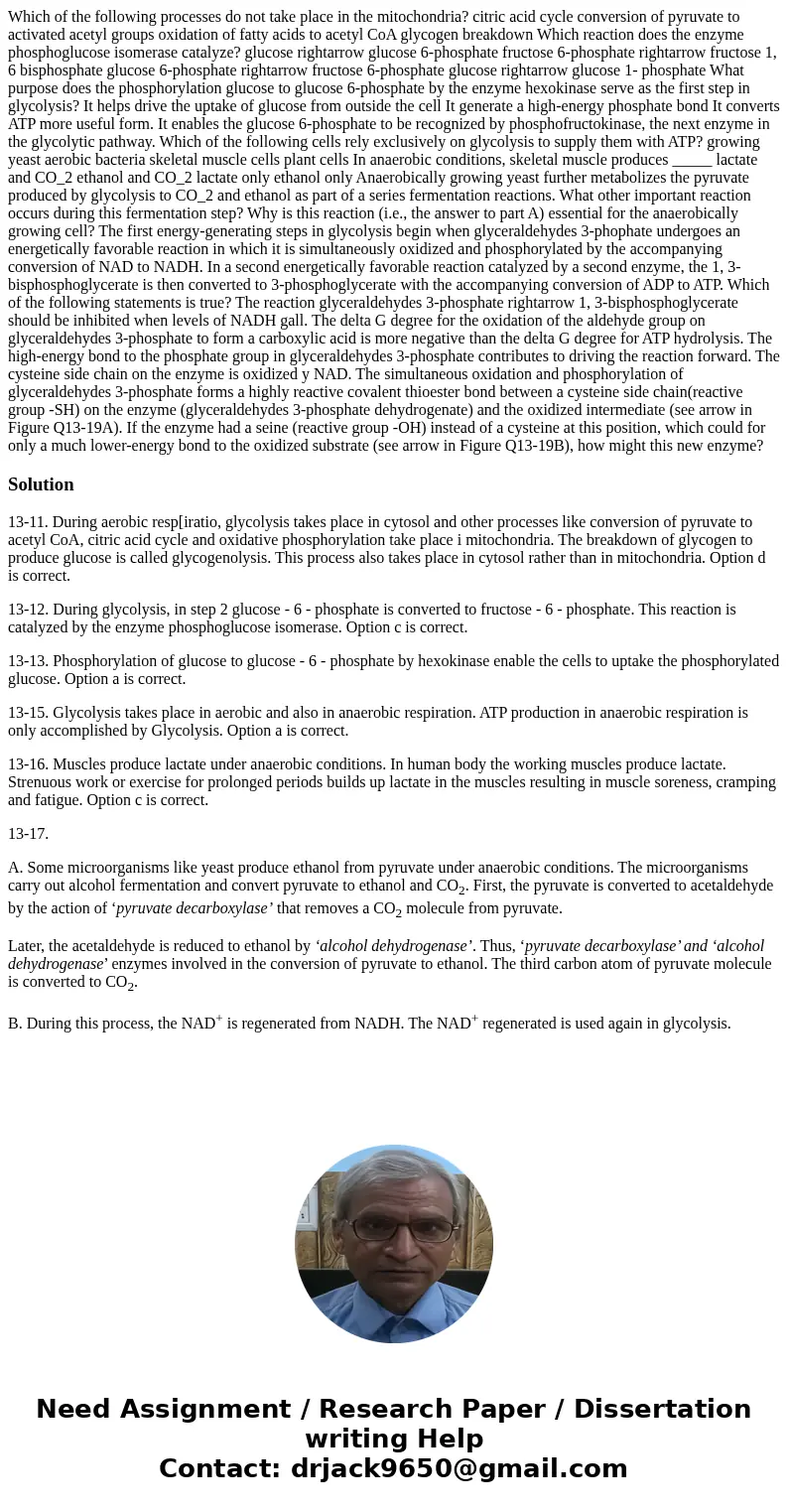  Which of the following processes do not take place in the mitochondria? citric acid cycle conversion of pyruvate to activated acetyl groups oxidation of fatty 