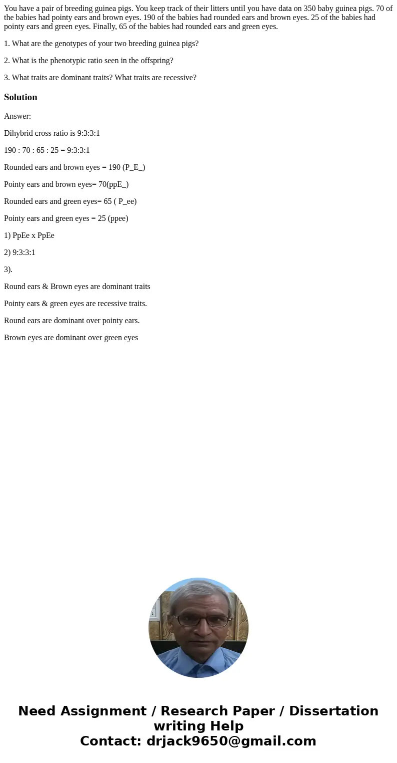 You have a pair of breeding guinea pigs. You keep track of their litters until you have data on 350 baby guinea pigs. 70 of the babies had pointy ears and brown