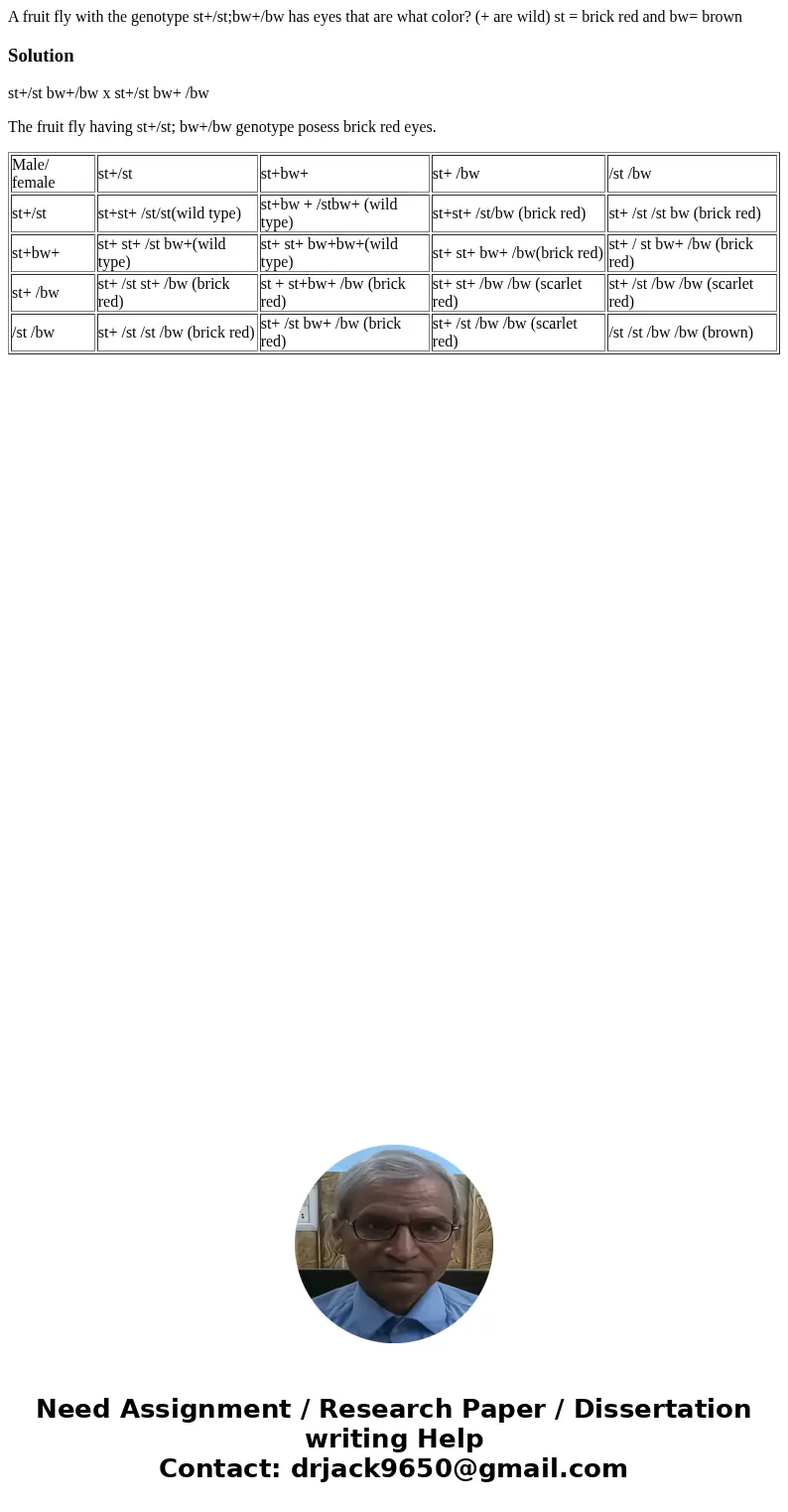 A fruit fly with the genotype st+/st;bw+/bw has eyes that are what color? (+ are wild) st = brick red and bw= brownSolutionst+/st bw+/bw x st+/st bw+ /bw The fr A fruit fly with the genotype st+/st;bw+/bw has eyes that are what color? (+ are wild) st = brick red and bw= brownSolutionst+/st bw+/bw x st+/st bw+ /bw The fr