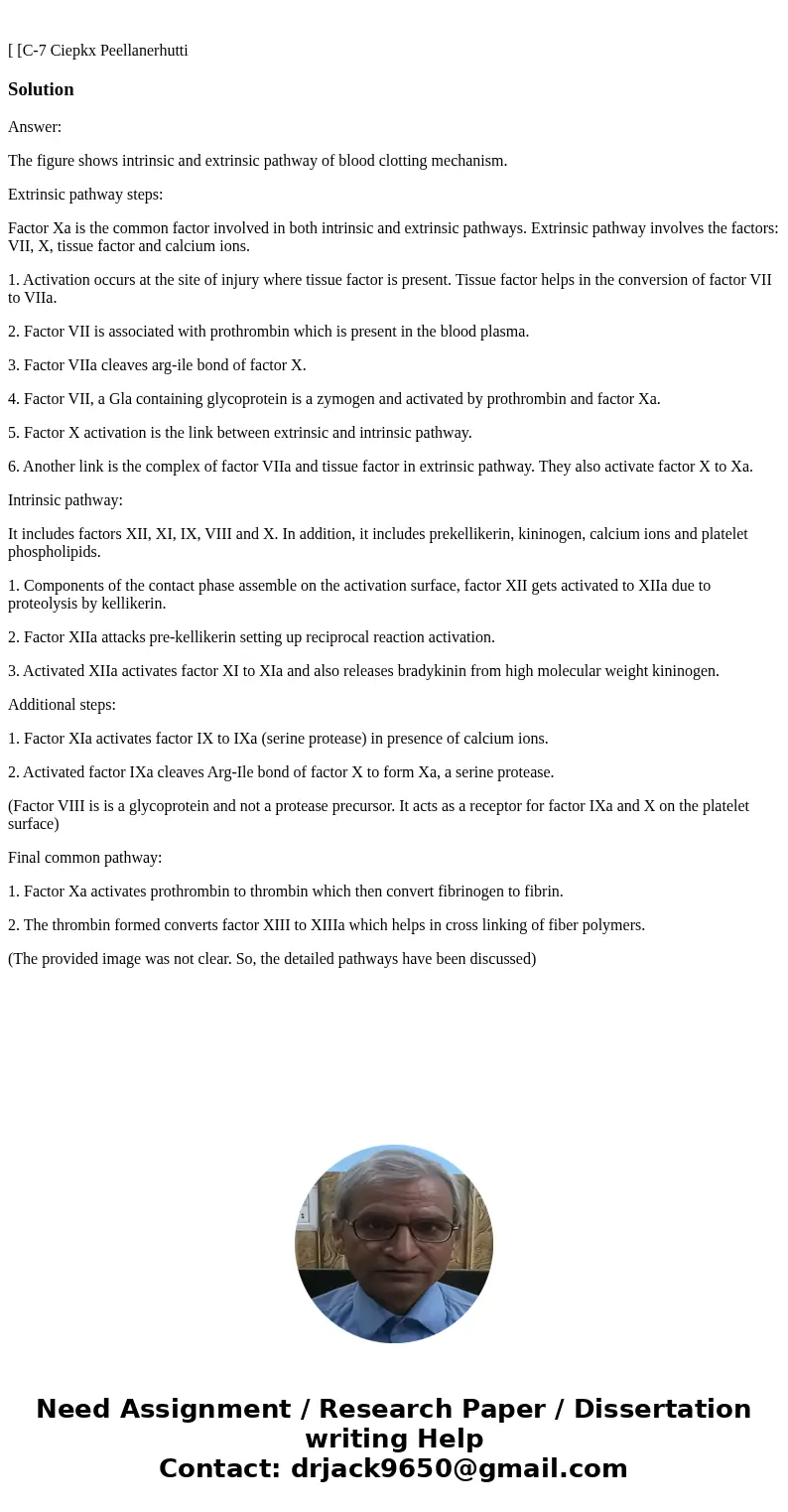 [ [C-7 Ciepkx Peellanerhutti SolutionAnswer: The figure shows intrinsic and extrinsic pathway of blood clotting mechanism. Extrinsic pathway steps: Factor Xa i  [ [C-7 Ciepkx Peellanerhutti SolutionAnswer: The figure shows intrinsic and extrinsic pathway of blood clotting mechanism. Extrinsic pathway steps: Factor Xa i