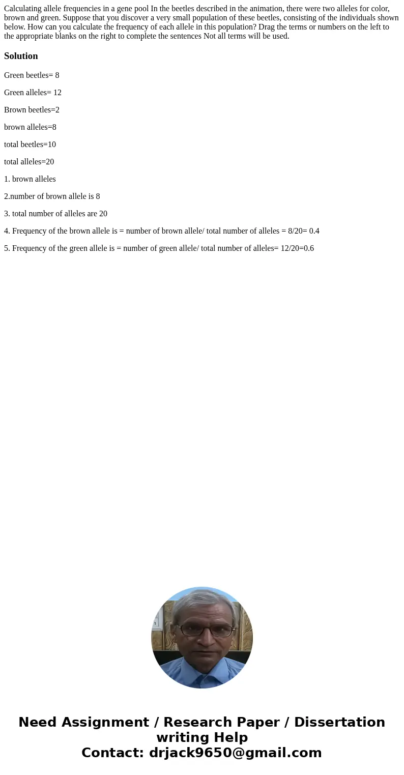 Calculating allele frequencies in a gene pool In the beetles described in the animation, there were two alleles for color, brown and green. Suppose that you di  Calculating allele frequencies in a gene pool In the beetles described in the animation, there were two alleles for color, brown and green. Suppose that you di