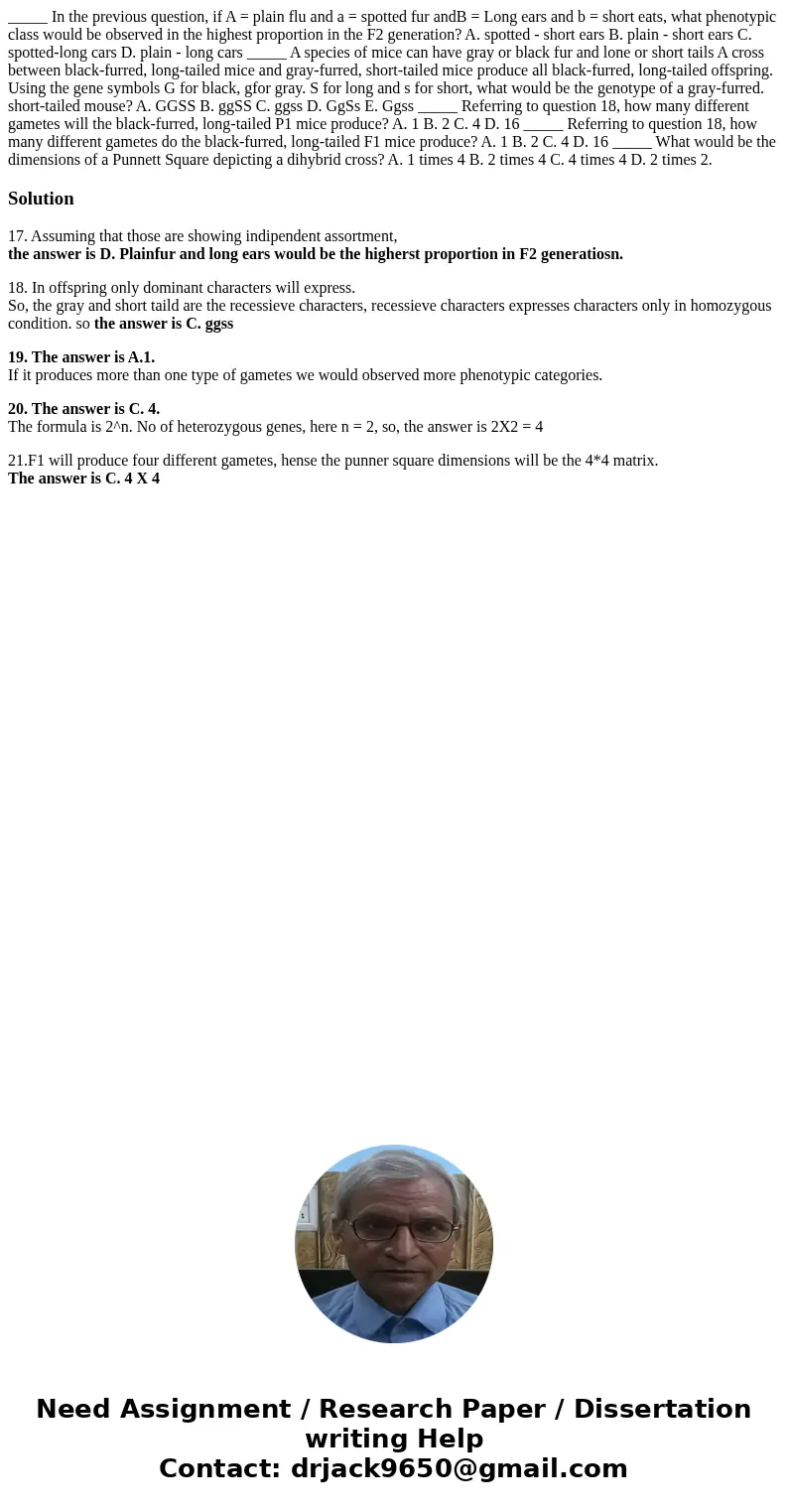 _____ In the previous question, if A = plain flu and a = spotted fur andB = Long ears and b = short eats, what phenotypic class would be observed in the highes  _____ In the previous question, if A = plain flu and a = spotted fur andB = Long ears and b = short eats, what phenotypic class would be observed in the highes
