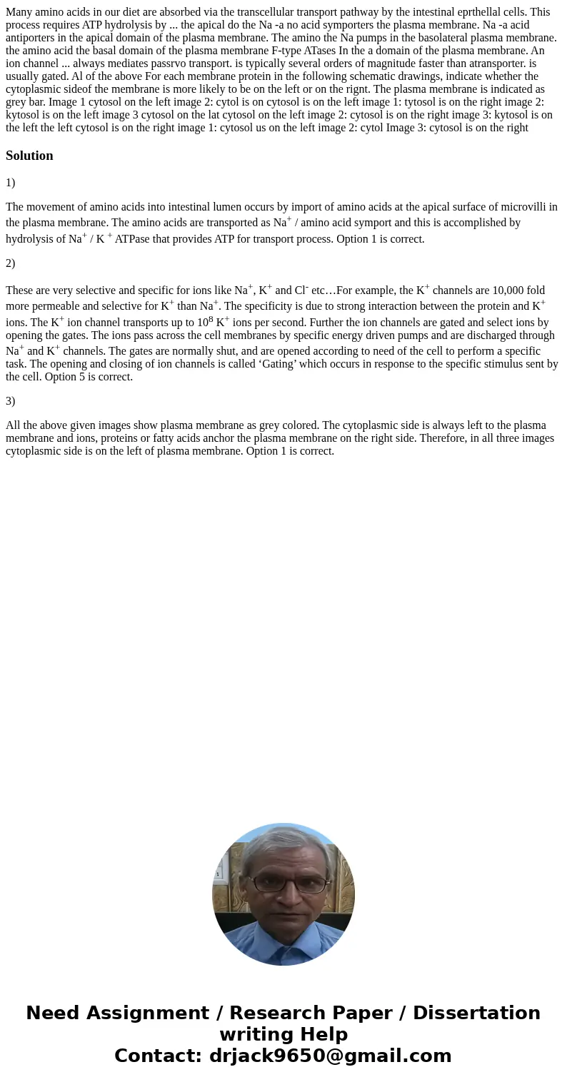 Many amino acids in our diet are absorbed via the transcellular transport pathway by the intestinal eprthellal cells. This process requires ATP hydrolysis by .  Many amino acids in our diet are absorbed via the transcellular transport pathway by the intestinal eprthellal cells. This process requires ATP hydrolysis by .
