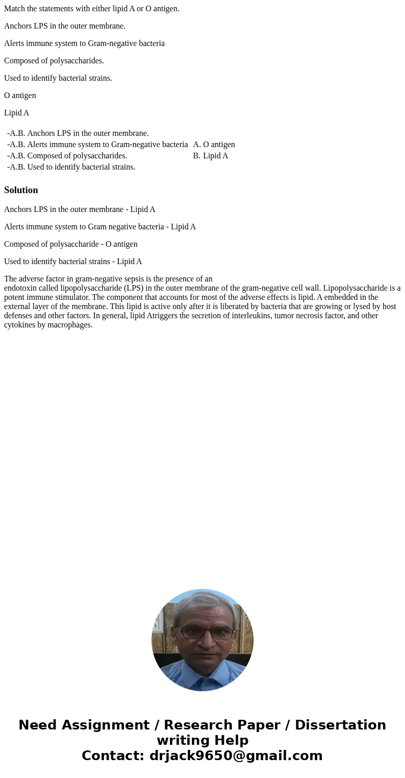 Match the statements with either lipid A or O antigen. Anchors LPS in the outer membrane. Alerts immune system to Gram-negative bacteria Composed of polysacchar Match the statements with either lipid A or O antigen. Anchors LPS in the outer membrane. Alerts immune system to Gram-negative bacteria Composed of polysacchar
