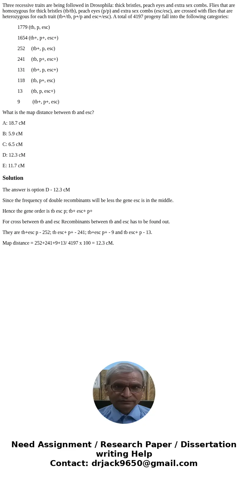 Three recessive traits are being followed in Drosophila: thick bristles, peach eyes and extra sex combs. Flies that are homozygous for thick bristles (tb/tb), p Three recessive traits are being followed in Drosophila: thick bristles, peach eyes and extra sex combs. Flies that are homozygous for thick bristles (tb/tb), p