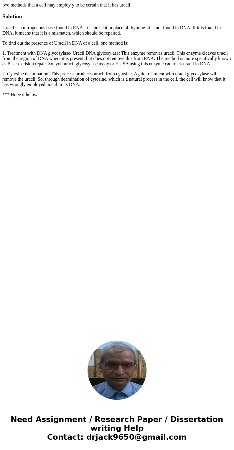 two methods that a cell may employ y to be certain that it has uracilSolutionUracil is a nitrogenous base found in RNA. It is present in place of thymine. It is two methods that a cell may employ y to be certain that it has uracilSolutionUracil is a nitrogenous base found in RNA. It is present in place of thymine. It is