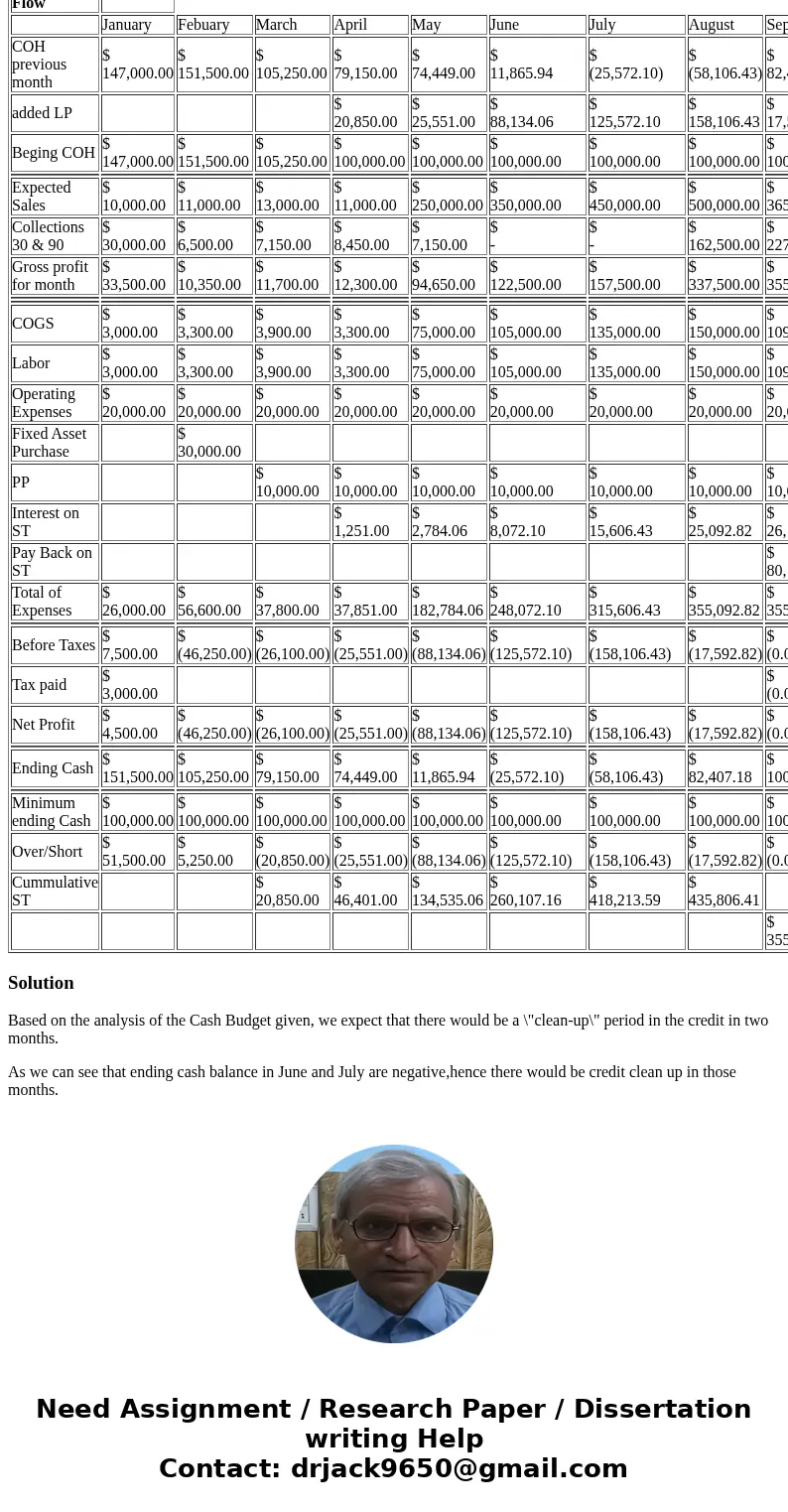 Using the Cash Budget of the ToysRCash Inc store below, would you expect to have a \
