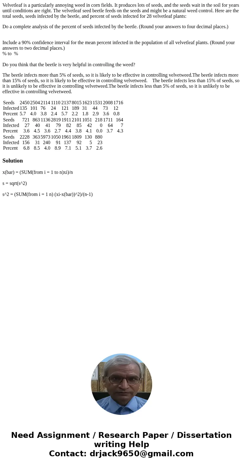 Velvetleaf is a particularly annoying weed in corn fields. It produces lots of seeds, and the seeds wait in the soil for years until conditions are right. The v Velvetleaf is a particularly annoying weed in corn fields. It produces lots of seeds, and the seeds wait in the soil for years until conditions are right. The v