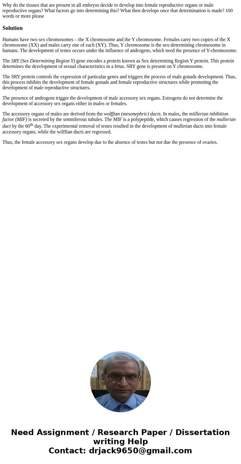 Why do the tissues that are present in all embryos decide to develop into female reproductive organs or male reproductive organs? What factors go into determini Why do the tissues that are present in all embryos decide to develop into female reproductive organs or male reproductive organs? What factors go into determini