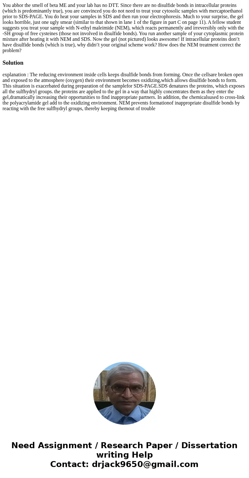 You abhor the smell of beta ME and your lab has no DTT. Since there are no disulfide bonds in intracellular proteins (which is predominantly true), you are con  You abhor the smell of beta ME and your lab has no DTT. Since there are no disulfide bonds in intracellular proteins (which is predominantly true), you are con