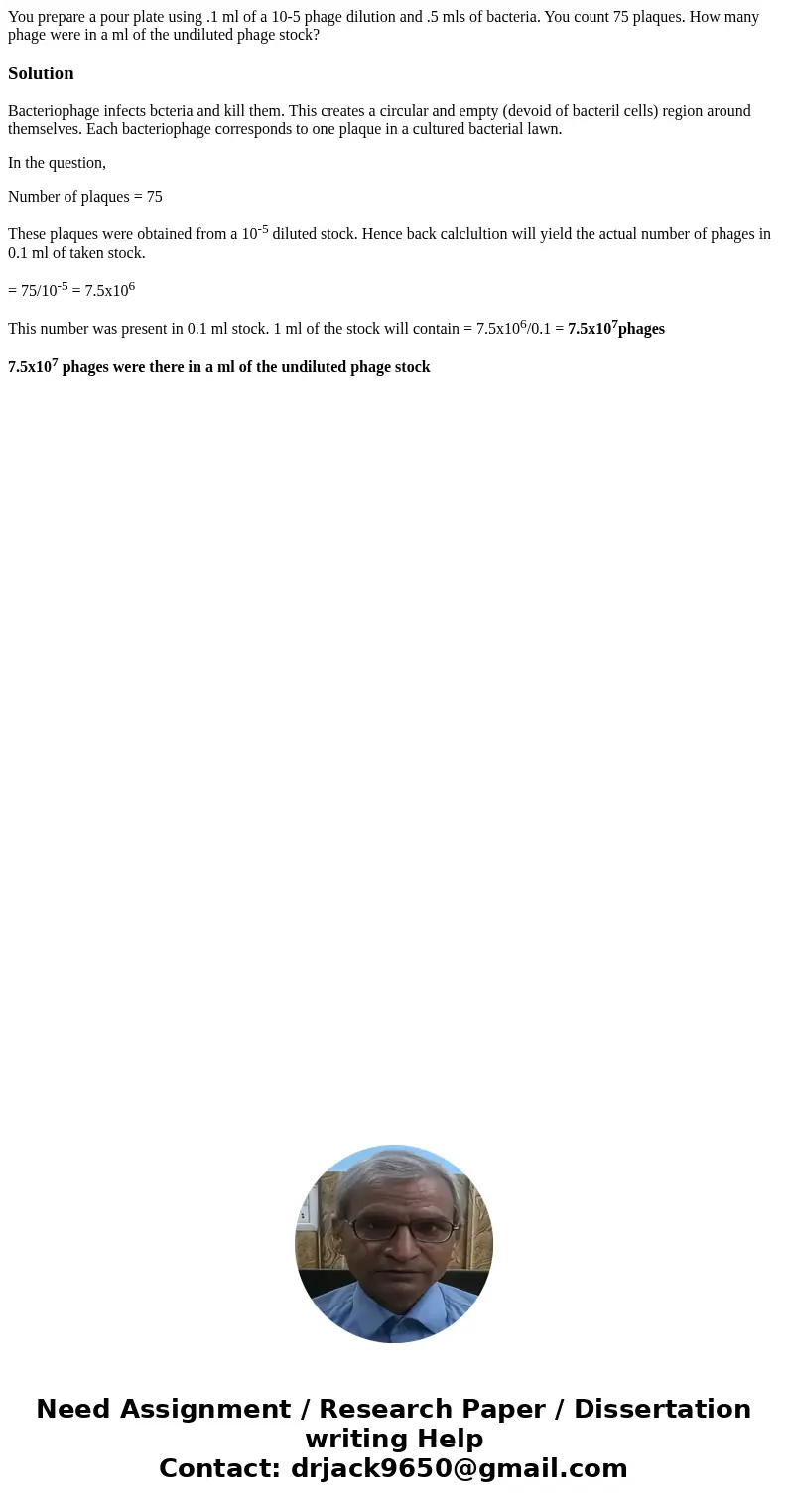 You prepare a pour plate using .1 ml of a 10-5 phage dilution and .5 mls of bacteria. You count 75 plaques. How many phage were in a ml of the undiluted phage s You prepare a pour plate using .1 ml of a 10-5 phage dilution and .5 mls of bacteria. You count 75 plaques. How many phage were in a ml of the undiluted phage s
