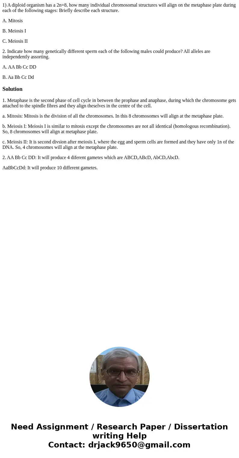 1) A diploid organism has a 2n=8, how many individual chromosomal structures will align on the metaphase plate during each of the following stages: Briefly desc 1) A diploid organism has a 2n=8, how many individual chromosomal structures will align on the metaphase plate during each of the following stages: Briefly desc