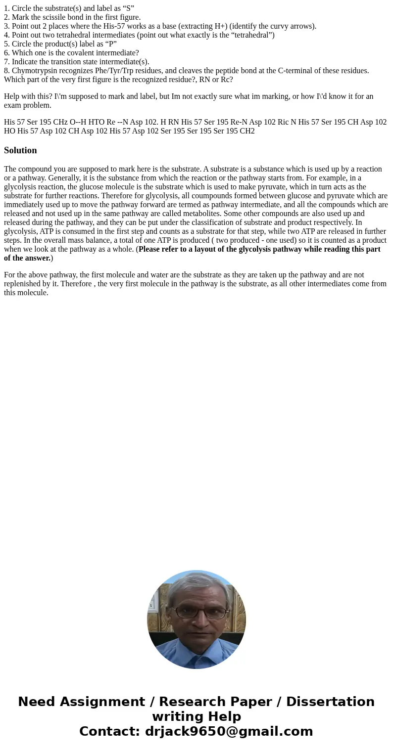 1. Circle the substrate(s) and label as “S” 2. Mark the scissile bond in the first figure. 3. Point out 2 places where the His-57 works as a base (extracting H+ 1. Circle the substrate(s) and label as “S” 2. Mark the scissile bond in the first figure. 3. Point out 2 places where the His-57 works as a base (extracting H+