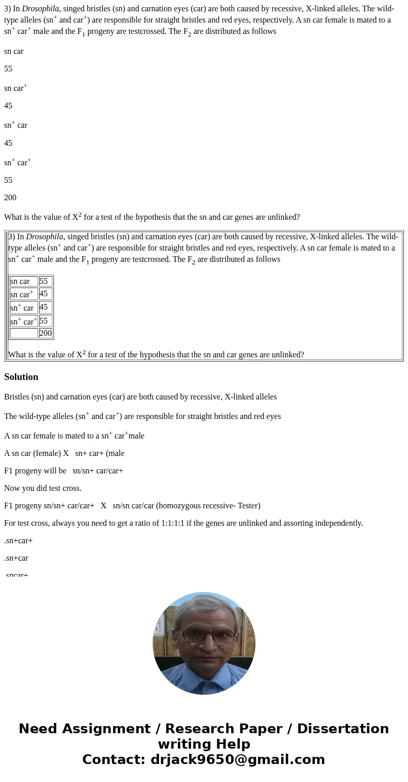 3) In Drosophila, singed bristles (sn) and carnation eyes (car) are both caused by recessive, X-linked alleles. The wild-type alleles (sn+ and car+) are respons 3) In Drosophila, singed bristles (sn) and carnation eyes (car) are both caused by recessive, X-linked alleles. The wild-type alleles (sn+ and car+) are respons