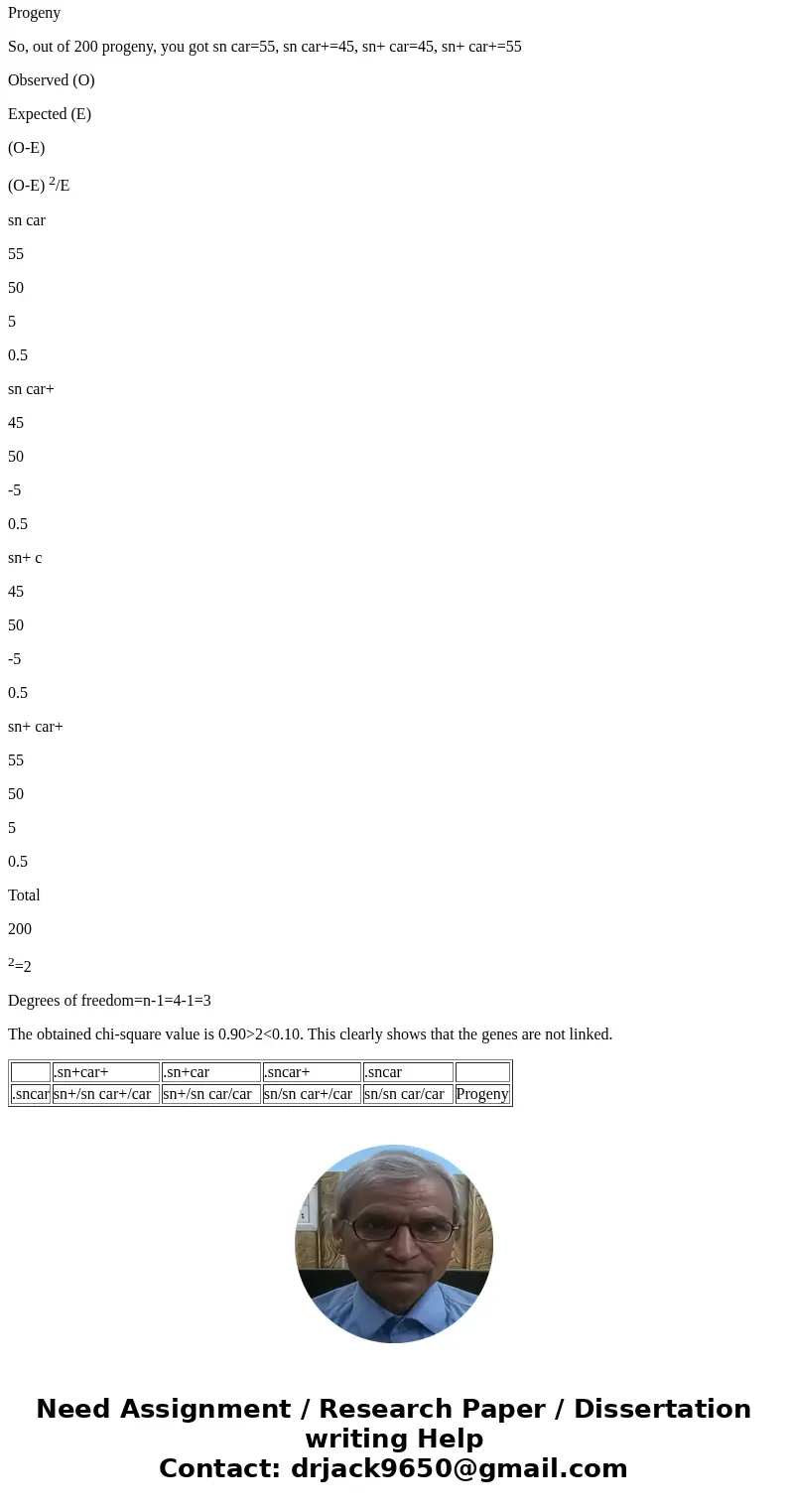 3) In Drosophila, singed bristles (sn) and carnation eyes (car) are both caused by recessive, X-linked alleles. The wild-type alleles (sn+ and car+) are respons 3) In Drosophila, singed bristles (sn) and carnation eyes (car) are both caused by recessive, X-linked alleles. The wild-type alleles (sn+ and car+) are respons