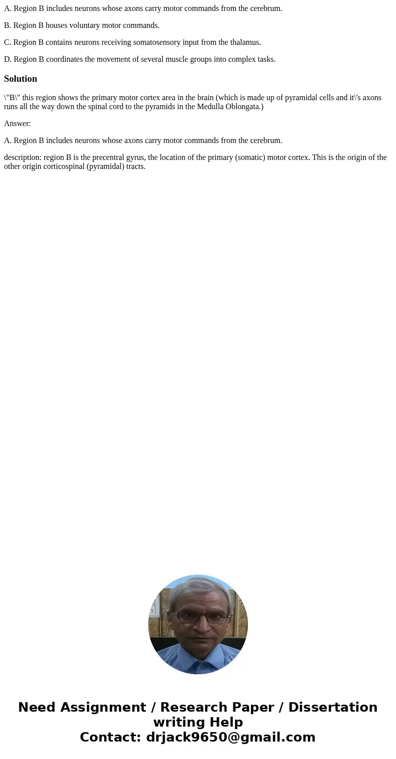 A. Region B includes neurons whose axons carry motor commands from the cerebrum. B. Region B houses voluntary motor commands. C. Region B contains neurons recei A. Region B includes neurons whose axons carry motor commands from the cerebrum. B. Region B houses voluntary motor commands. C. Region B contains neurons recei