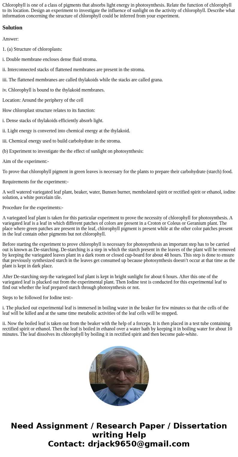 Chlorophyll is one of a class of pigments that absorbs light energy in photosynthesis. Relate the function of chlorophyll to its location. Design an experiment  Chlorophyll is one of a class of pigments that absorbs light energy in photosynthesis. Relate the function of chlorophyll to its location. Design an experiment