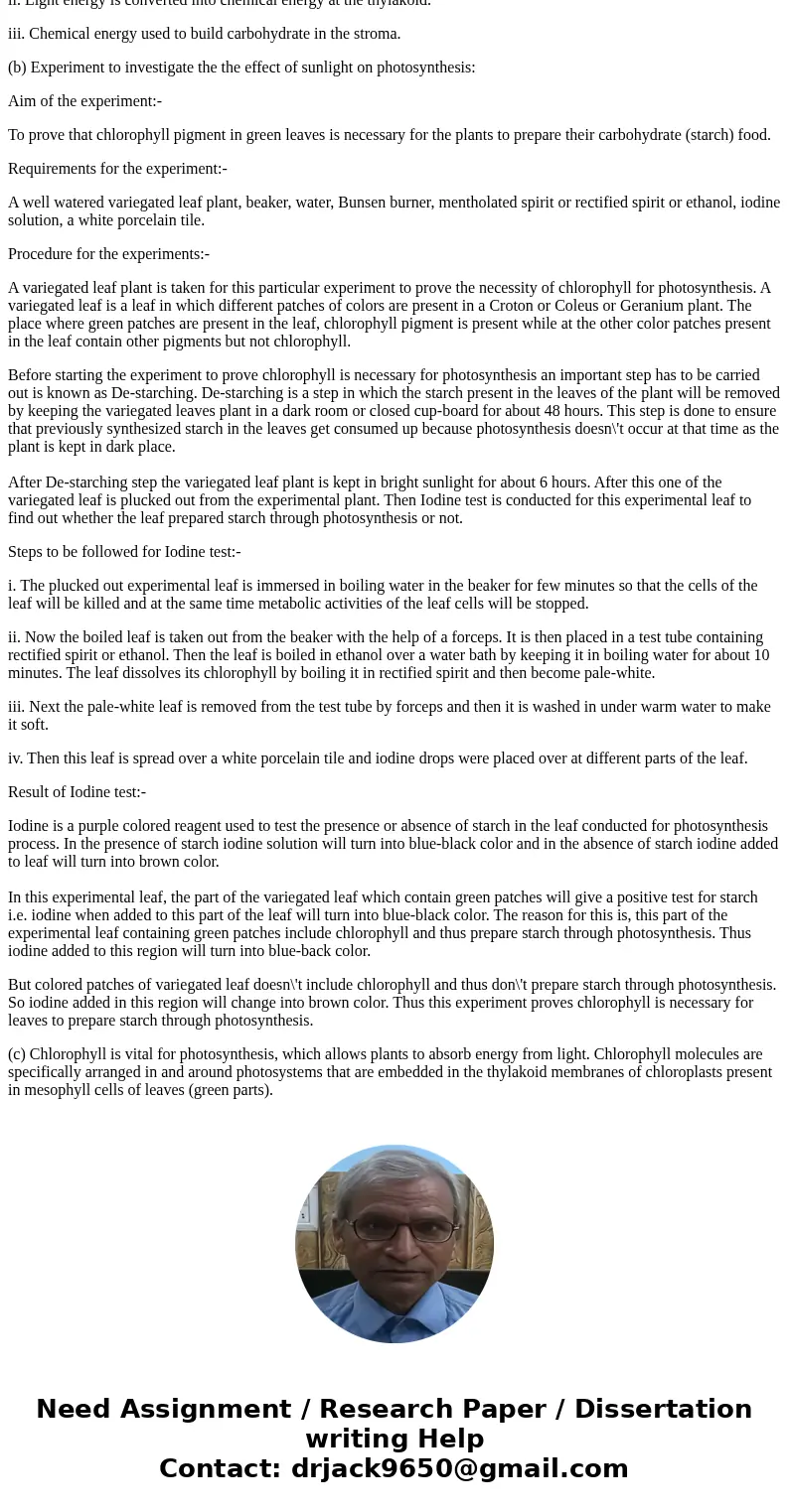 Chlorophyll is one of a class of pigments that absorbs light energy in photosynthesis. Relate the function of chlorophyll to its location. Design an experiment  Chlorophyll is one of a class of pigments that absorbs light energy in photosynthesis. Relate the function of chlorophyll to its location. Design an experiment