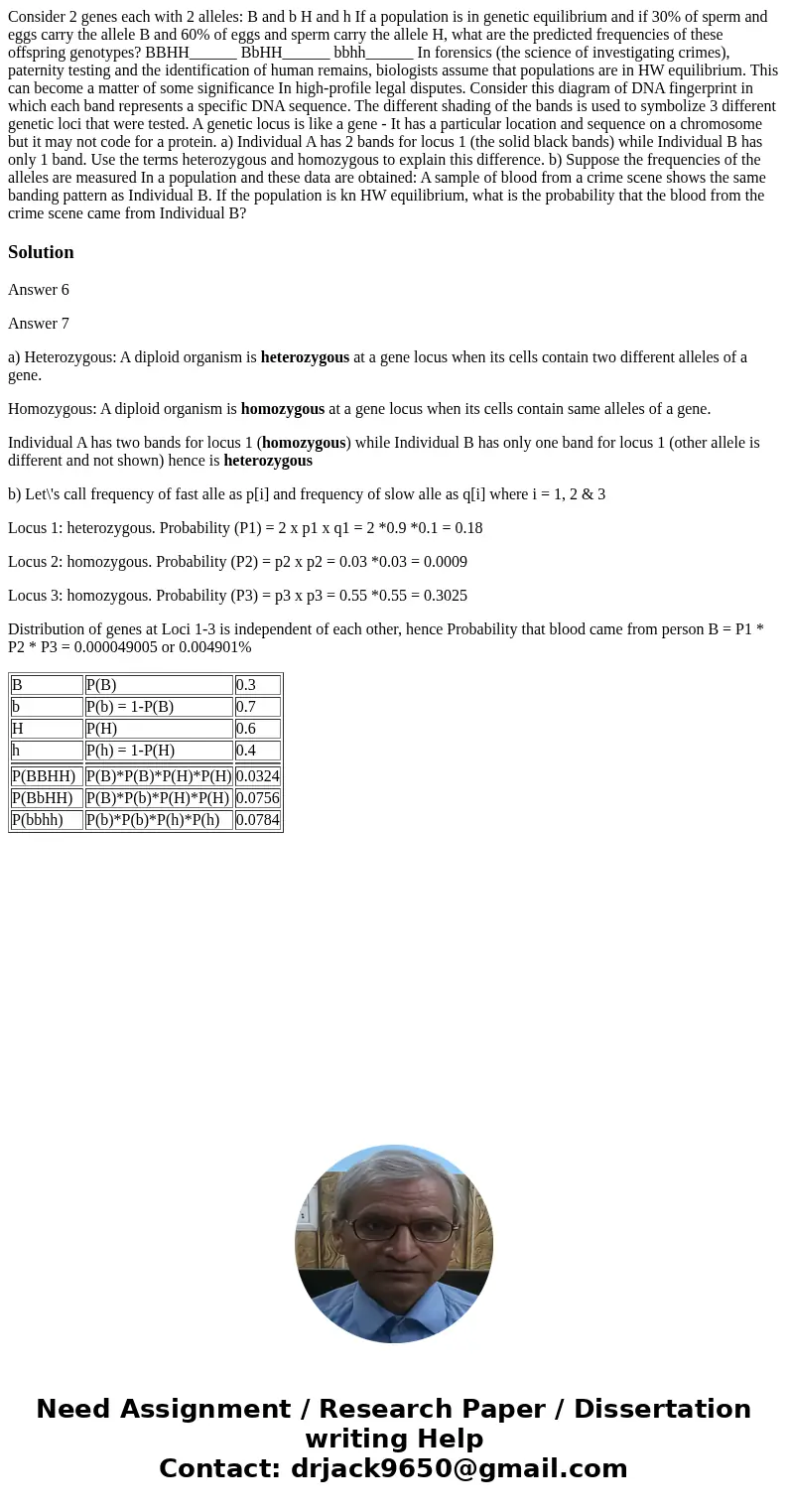  Consider 2 genes each with 2 alleles: B and b H and h If a population is in genetic equilibrium and if 30% of sperm and eggs carry the allele B and 60% of eggs