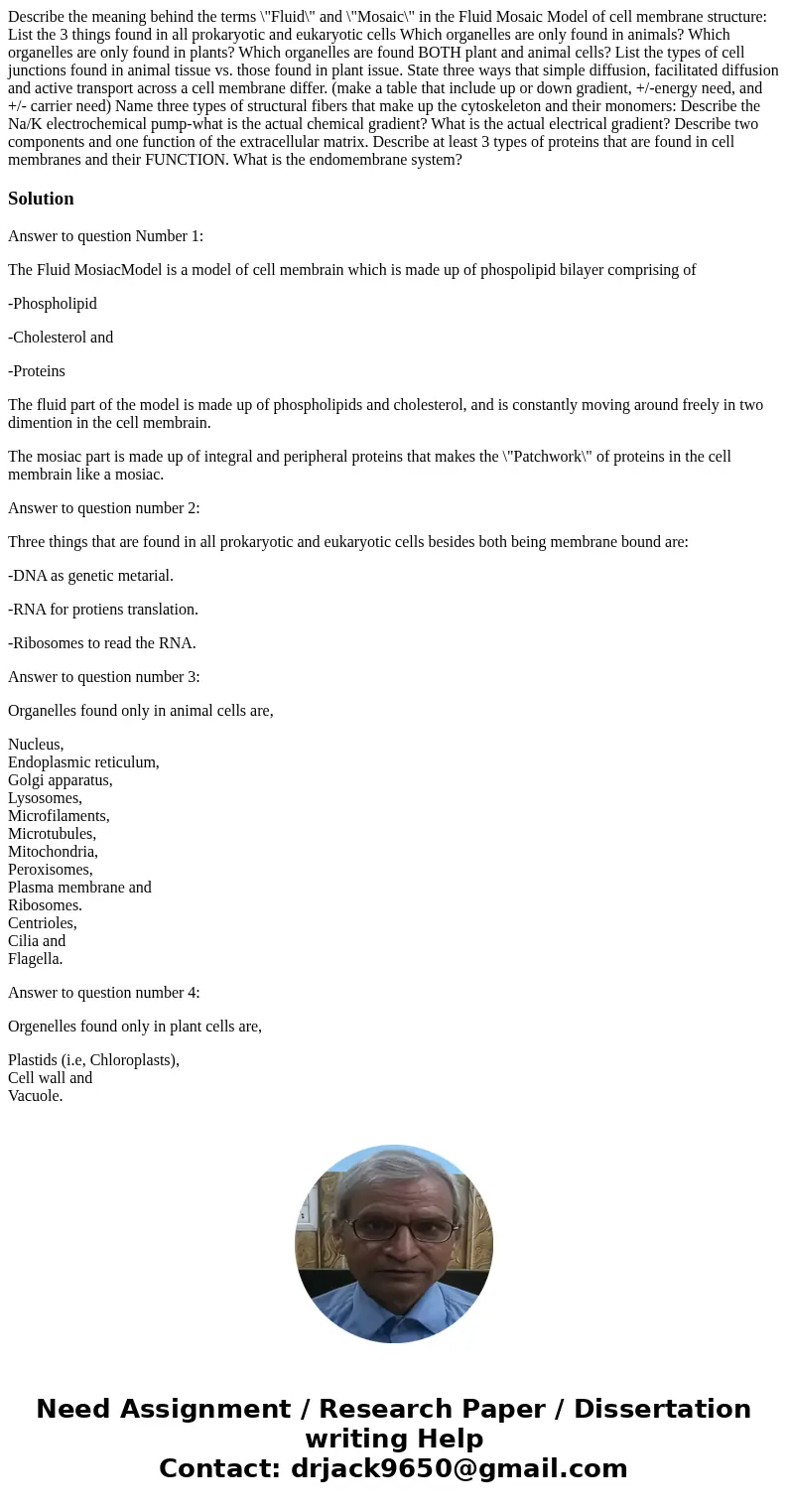 Describe the meaning behind the terms \  Describe the meaning behind the terms \