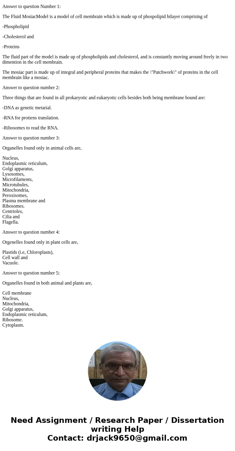 Describe the meaning behind the terms \  Describe the meaning behind the terms \