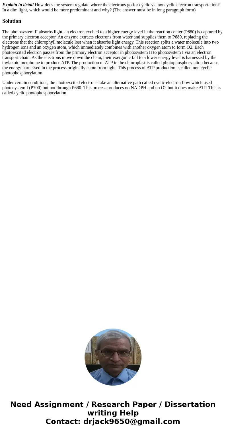 Explain in detail How does the system regulate where the electrons go for cyclic vs. noncyclic electron transportation? In a dim light, which would be more pred Explain in detail How does the system regulate where the electrons go for cyclic vs. noncyclic electron transportation? In a dim light, which would be more pred