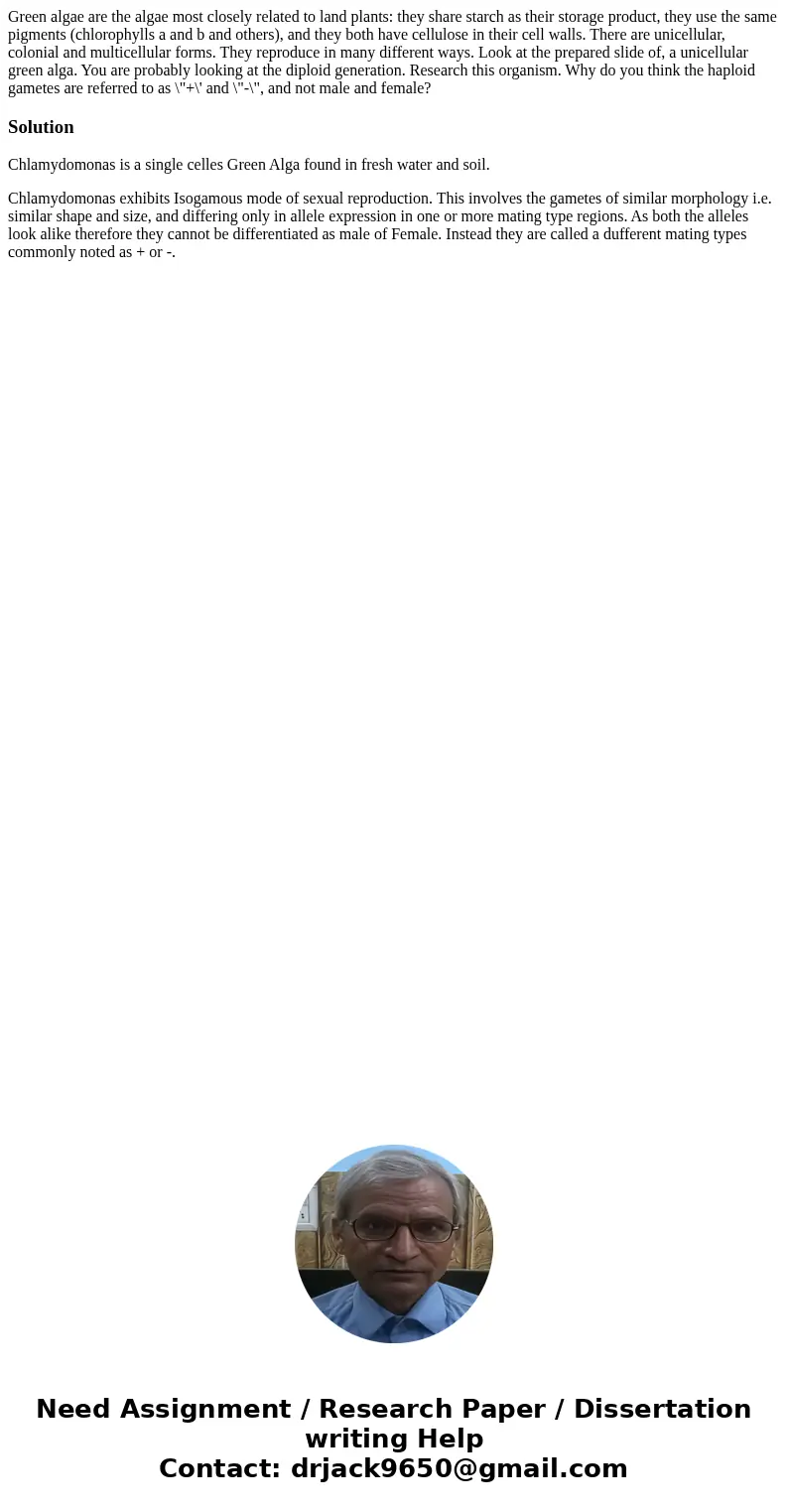 Green algae are the algae most closely related to land plants: they share starch as their storage product, they use the same pigments (chlorophylls a and b and  Green algae are the algae most closely related to land plants: they share starch as their storage product, they use the same pigments (chlorophylls a and b and