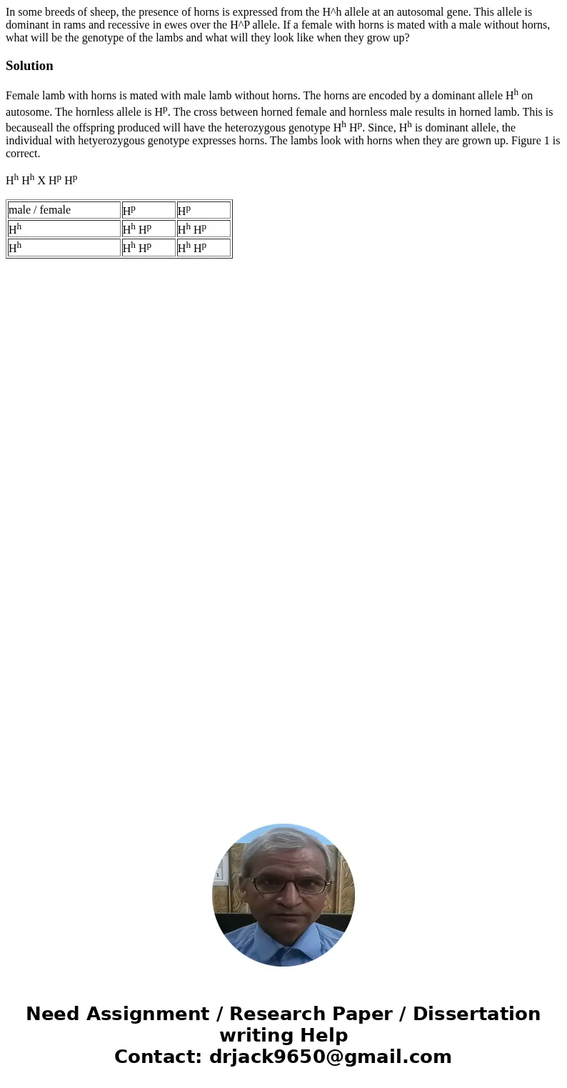 In some breeds of sheep, the presence of horns is expressed from the H^h allele at an autosomal gene. This allele is dominant in rams and recessive in ewes ove  In some breeds of sheep, the presence of horns is expressed from the H^h allele at an autosomal gene. This allele is dominant in rams and recessive in ewes ove