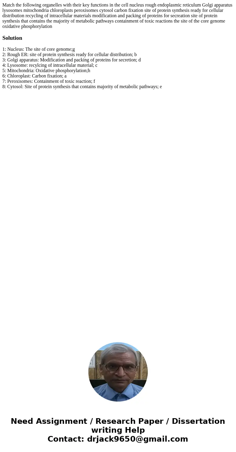 Match the following organelles with their key functions in the cell nucleus rough endoplasmic reticulum Golgi apparatus lysosomes mitochondria chloroplasts per  Match the following organelles with their key functions in the cell nucleus rough endoplasmic reticulum Golgi apparatus lysosomes mitochondria chloroplasts per