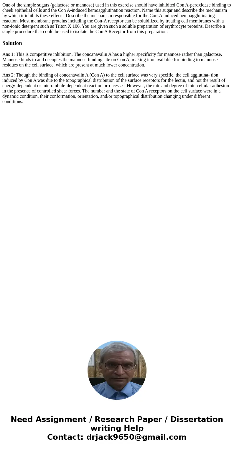 One of the simple sugars (galactose or mannose) used in this exercise should have inhibited Con A-peroxidase binding to cheek epithelial cells and the Con A-in  One of the simple sugars (galactose or mannose) used in this exercise should have inhibited Con A-peroxidase binding to cheek epithelial cells and the Con A-in