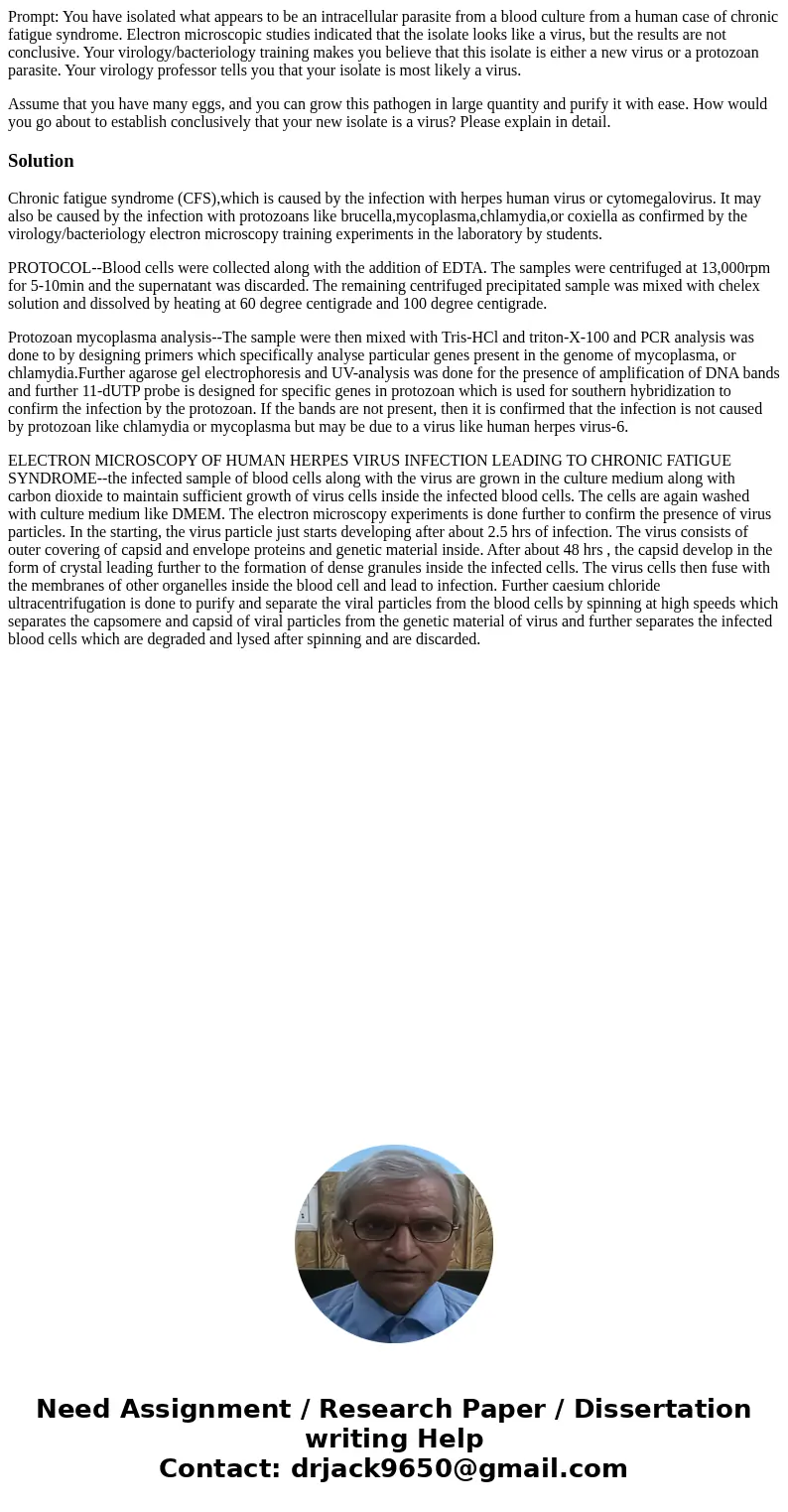 Prompt: You have isolated what appears to be an intracellular parasite from a blood culture from a human case of chronic fatigue syndrome. Electron microscopic  Prompt: You have isolated what appears to be an intracellular parasite from a blood culture from a human case of chronic fatigue syndrome. Electron microscopic