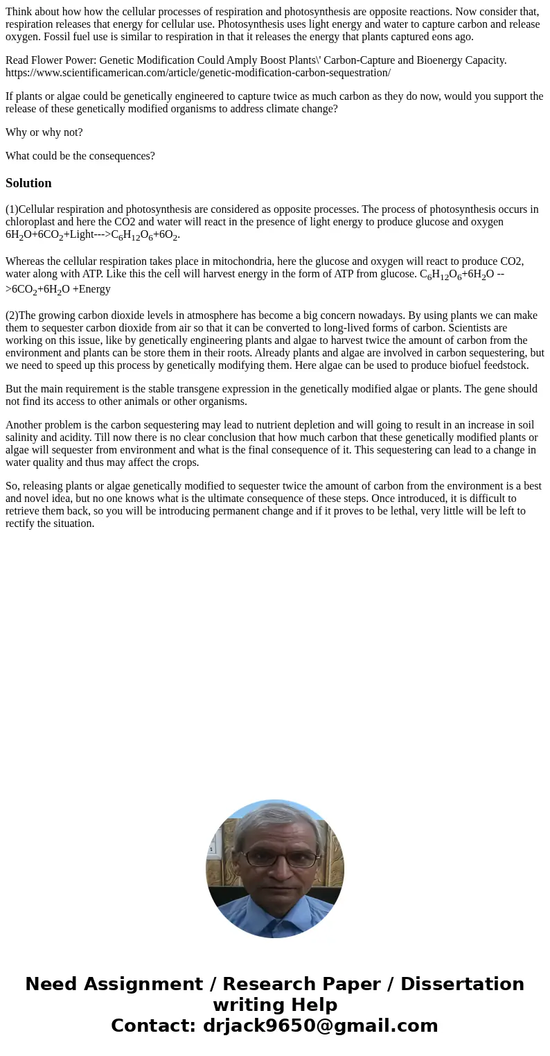Think about how how the cellular processes of respiration and photosynthesis are opposite reactions. Now consider that, respiration releases that energy for cel Think about how how the cellular processes of respiration and photosynthesis are opposite reactions. Now consider that, respiration releases that energy for cel