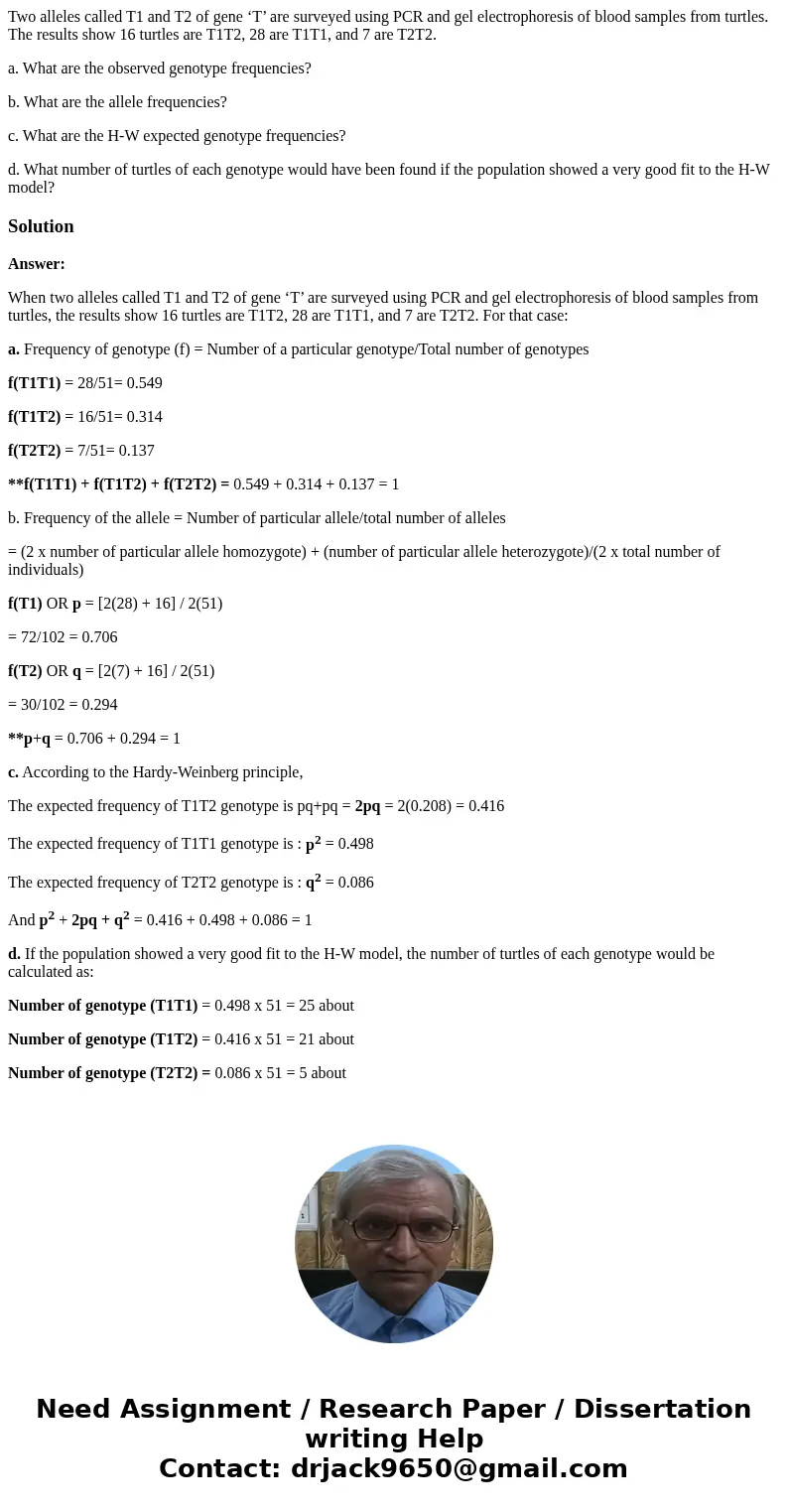 Two alleles called T1 and T2 of gene ‘T’ are surveyed using PCR and gel electrophoresis of blood samples from turtles. The results show 16 turtles are T1T2, 28  Two alleles called T1 and T2 of gene ‘T’ are surveyed using PCR and gel electrophoresis of blood samples from turtles. The results show 16 turtles are T1T2, 28