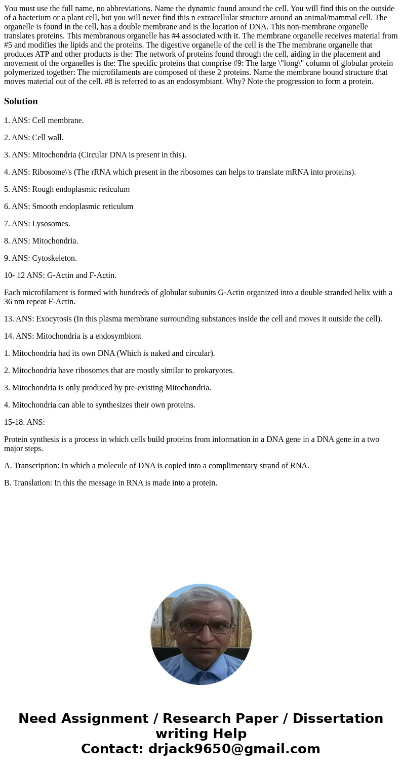 You must use the full name, no abbreviations. Name the dynamic found around the cell. You will find this on the outside of a bacterium or a plant cell, but you  You must use the full name, no abbreviations. Name the dynamic found around the cell. You will find this on the outside of a bacterium or a plant cell, but you