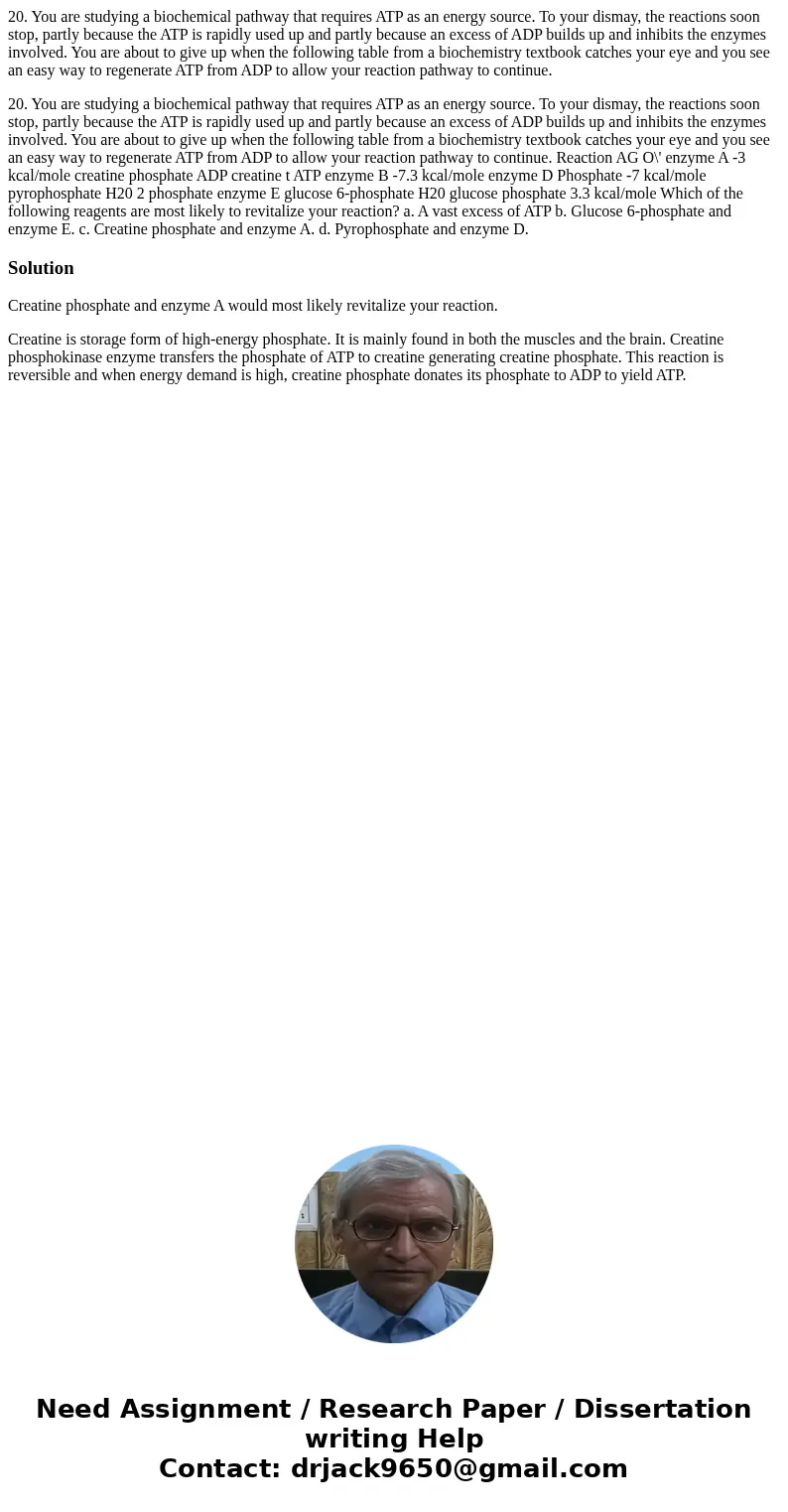 20. You are studying a biochemical pathway that requires ATP as an energy source. To your dismay, the reactions soon stop, partly because the ATP is rapidly use 20. You are studying a biochemical pathway that requires ATP as an energy source. To your dismay, the reactions soon stop, partly because the ATP is rapidly use