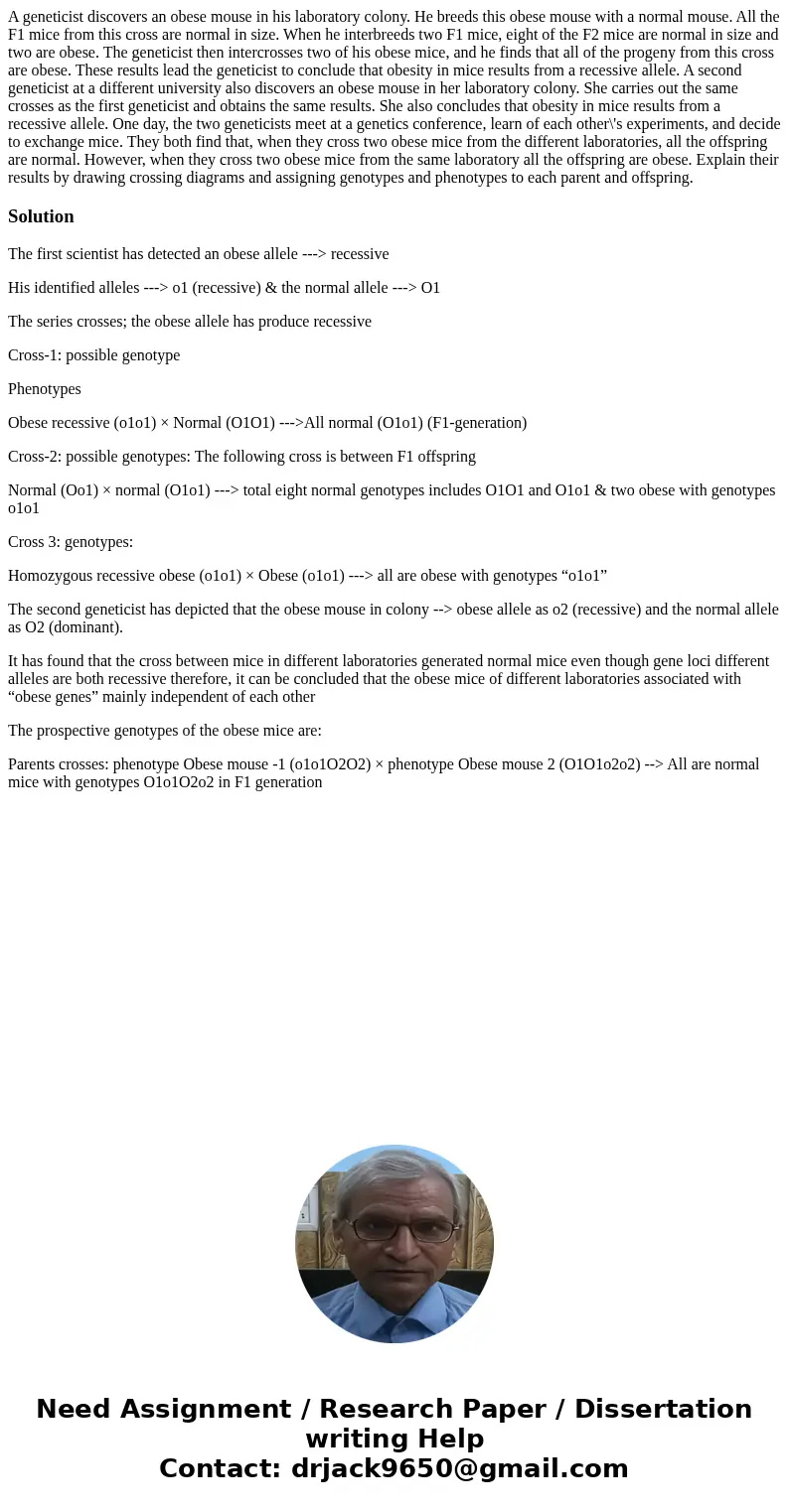 A geneticist discovers an obese mouse in his laboratory colony. He breeds this obese mouse with a normal mouse. All the F1 mice from this cross are normal in s  A geneticist discovers an obese mouse in his laboratory colony. He breeds this obese mouse with a normal mouse. All the F1 mice from this cross are normal in s