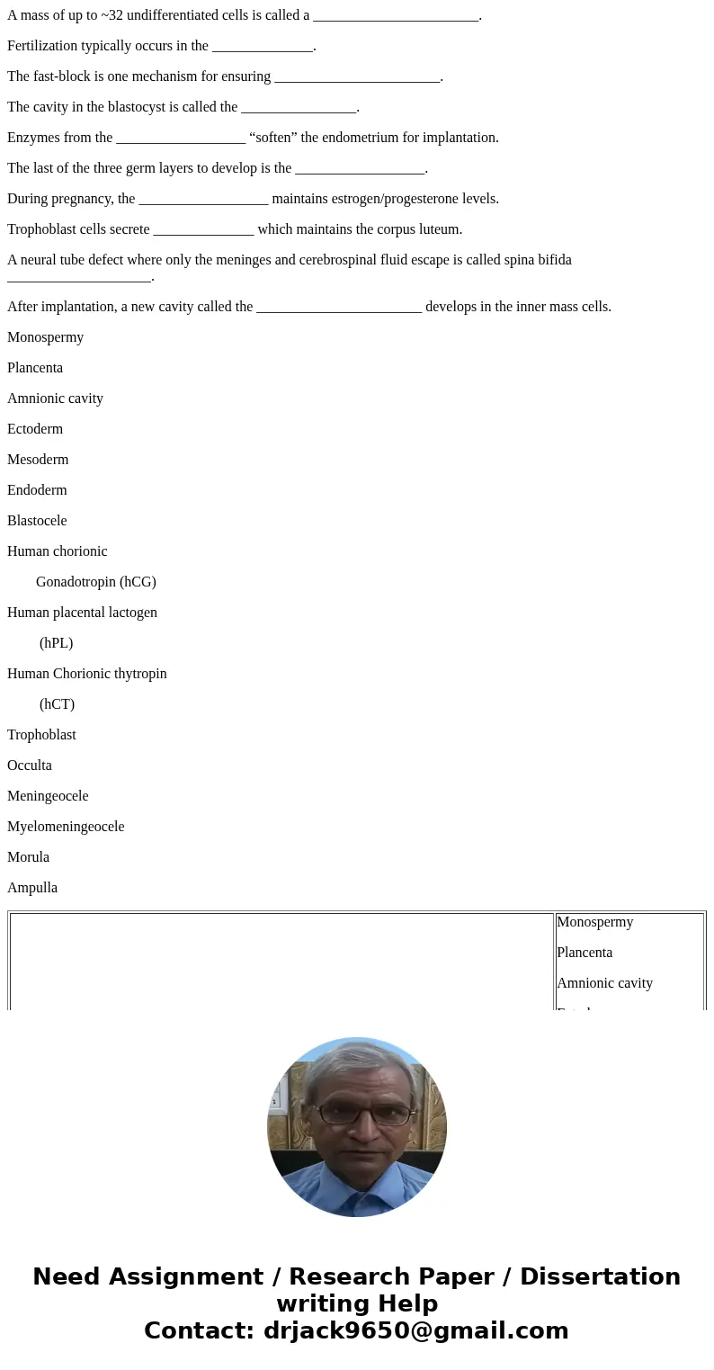 A mass of up to ~32 undifferentiated cells is called a _______________________. Fertilization typically occurs in the ______________. The fast-block is one mech A mass of up to ~32 undifferentiated cells is called a _______________________. Fertilization typically occurs in the ______________. The fast-block is one mech