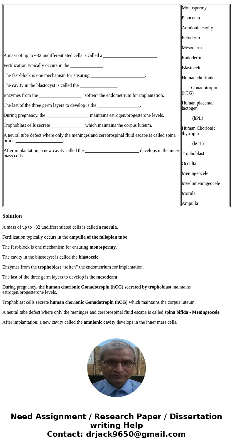 A mass of up to ~32 undifferentiated cells is called a _______________________. Fertilization typically occurs in the ______________. The fast-block is one mech A mass of up to ~32 undifferentiated cells is called a _______________________. Fertilization typically occurs in the ______________. The fast-block is one mech