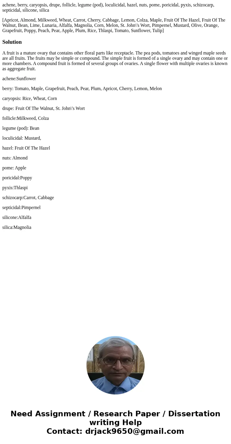 achene, berry, caryopsis, drupe, follicle, legume (pod), loculicidal, hazel, nuts, pome, poricidal, pyxis, schizocarp, septicidal, silicone, silica [Apricot, Al achene, berry, caryopsis, drupe, follicle, legume (pod), loculicidal, hazel, nuts, pome, poricidal, pyxis, schizocarp, septicidal, silicone, silica [Apricot, Al