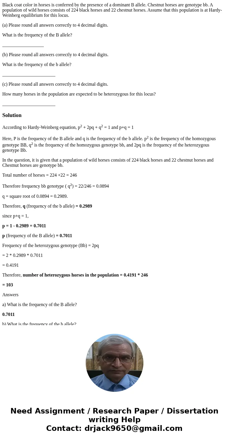 Black coat color in horses is conferred by the presence of a dominant B allele. Chestnut horses are genotype bb. A population of wild horses consists of 224 bla Black coat color in horses is conferred by the presence of a dominant B allele. Chestnut horses are genotype bb. A population of wild horses consists of 224 bla
