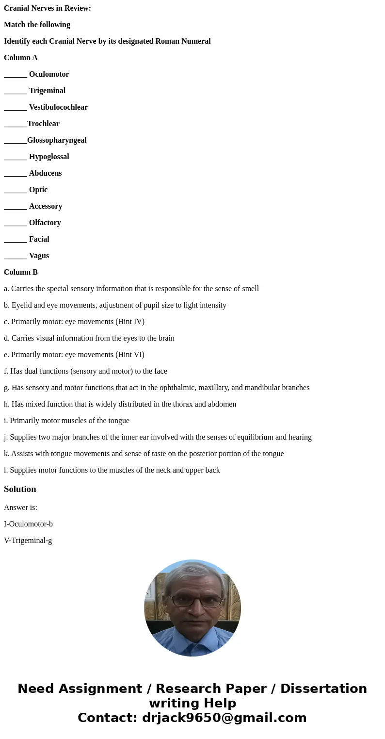 Cranial Nerves in Review: Match the following Identify each Cranial Nerve by its designated Roman Numeral Column A ______ Oculomotor ______ Trigeminal ______ Ve Cranial Nerves in Review: Match the following Identify each Cranial Nerve by its designated Roman Numeral Column A ______ Oculomotor ______ Trigeminal ______ Ve