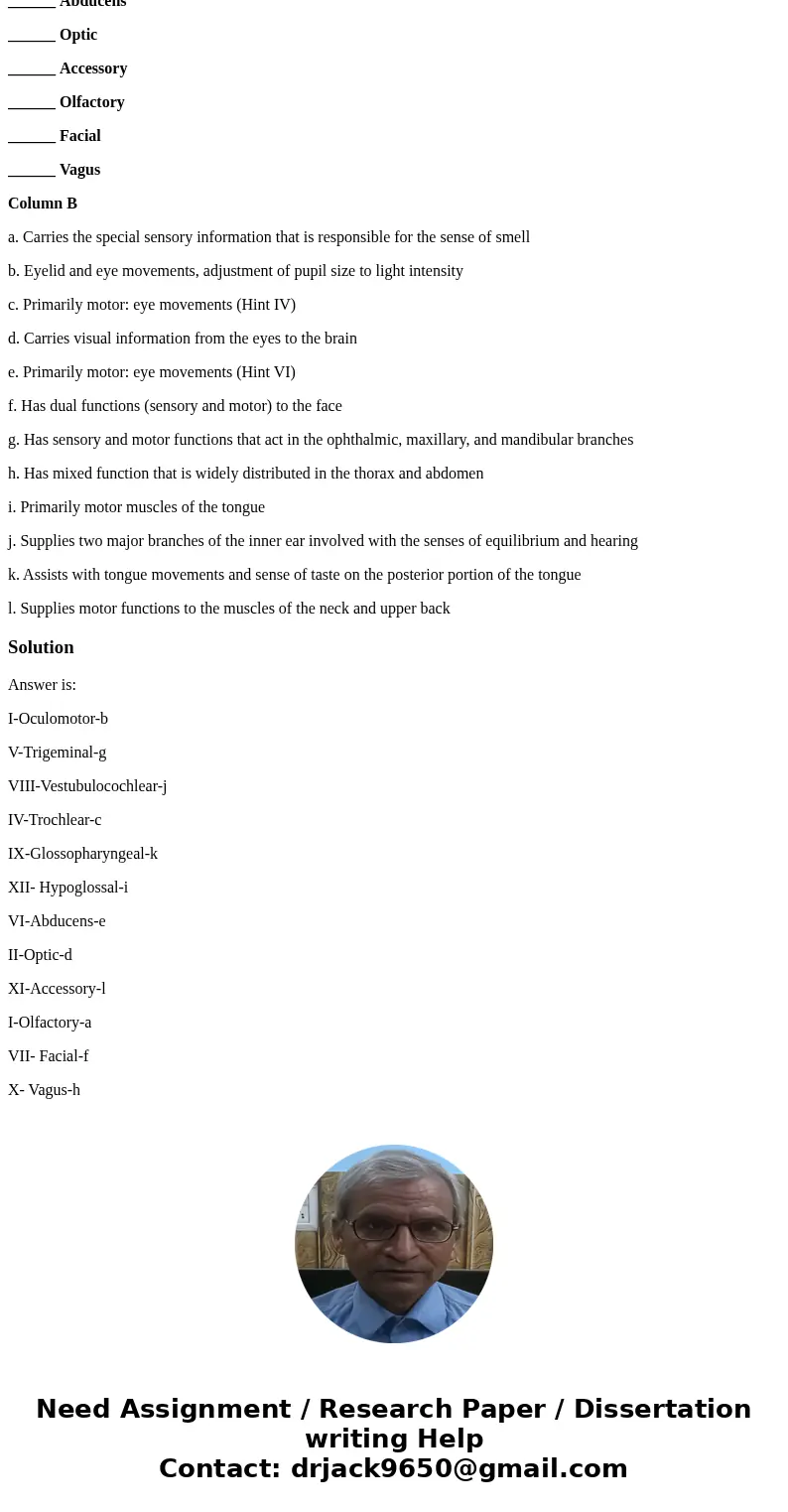 Cranial Nerves in Review: Match the following Identify each Cranial Nerve by its designated Roman Numeral Column A ______ Oculomotor ______ Trigeminal ______ Ve Cranial Nerves in Review: Match the following Identify each Cranial Nerve by its designated Roman Numeral Column A ______ Oculomotor ______ Trigeminal ______ Ve